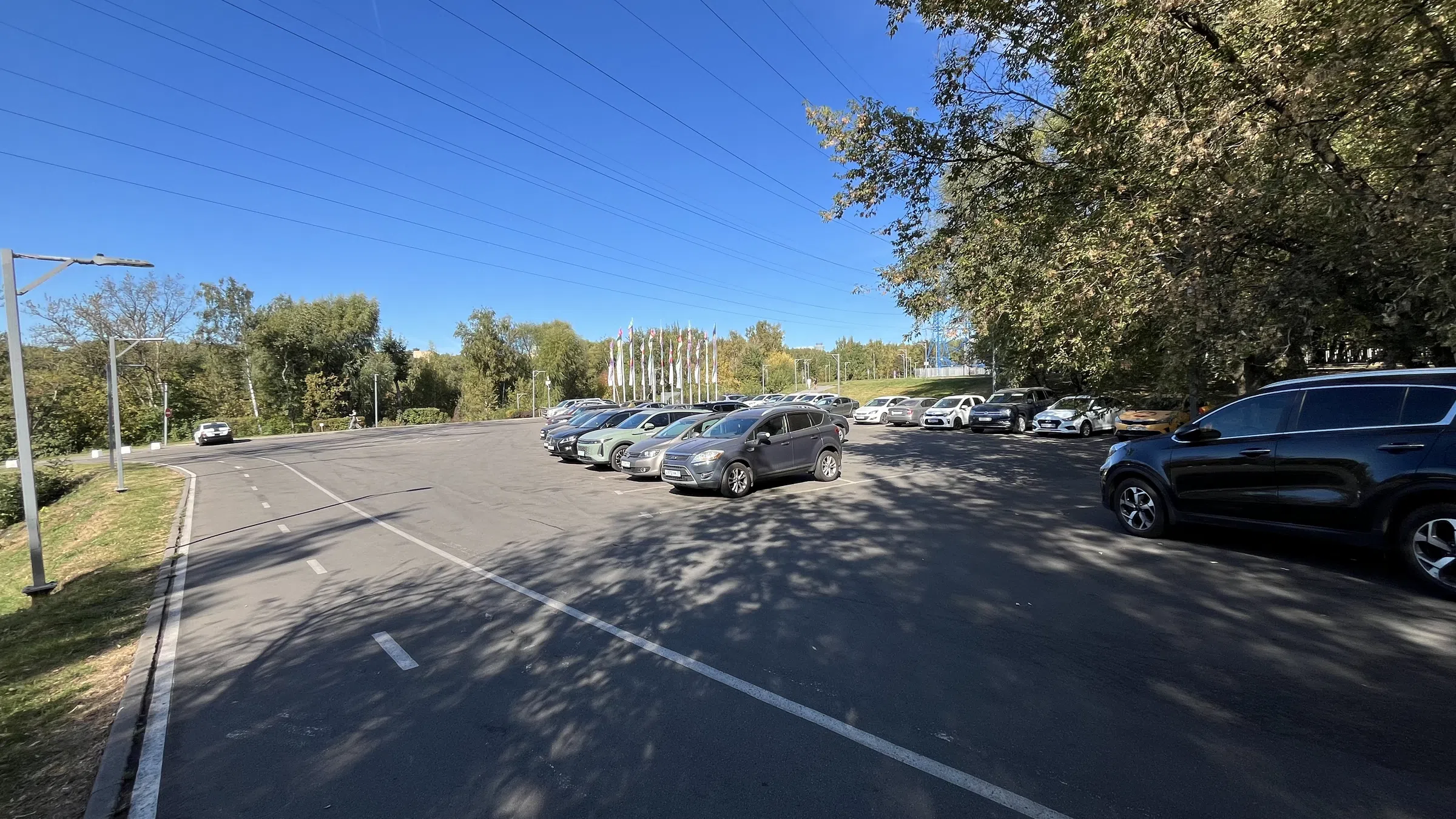 Большая парковка у леса, фото 5