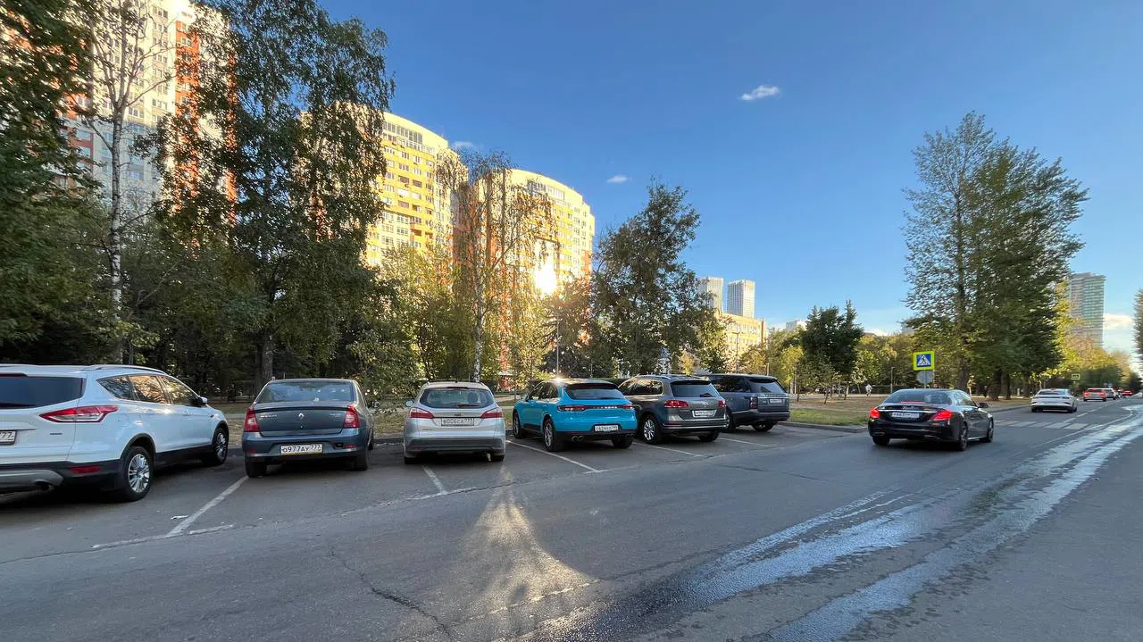 Городской парк с аллеей, фото 8