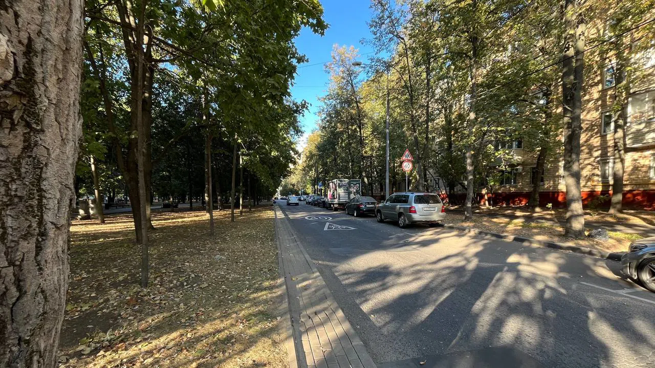 Городской парк с аллеей, фото 1