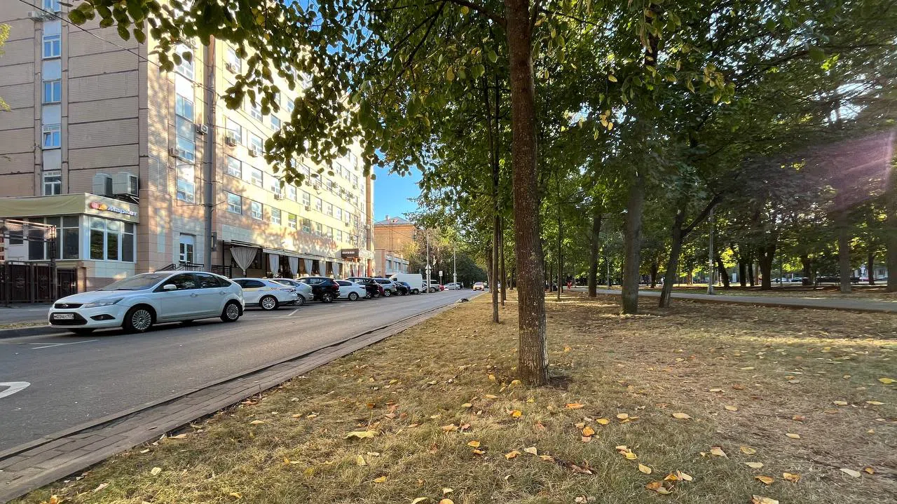 Городской парк с аллеей, фото 5