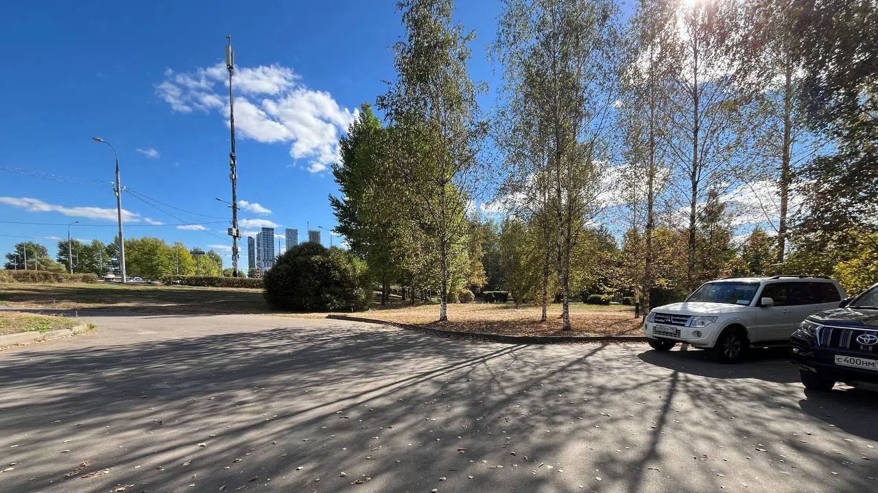 Парковка среди деревьев, фото 3