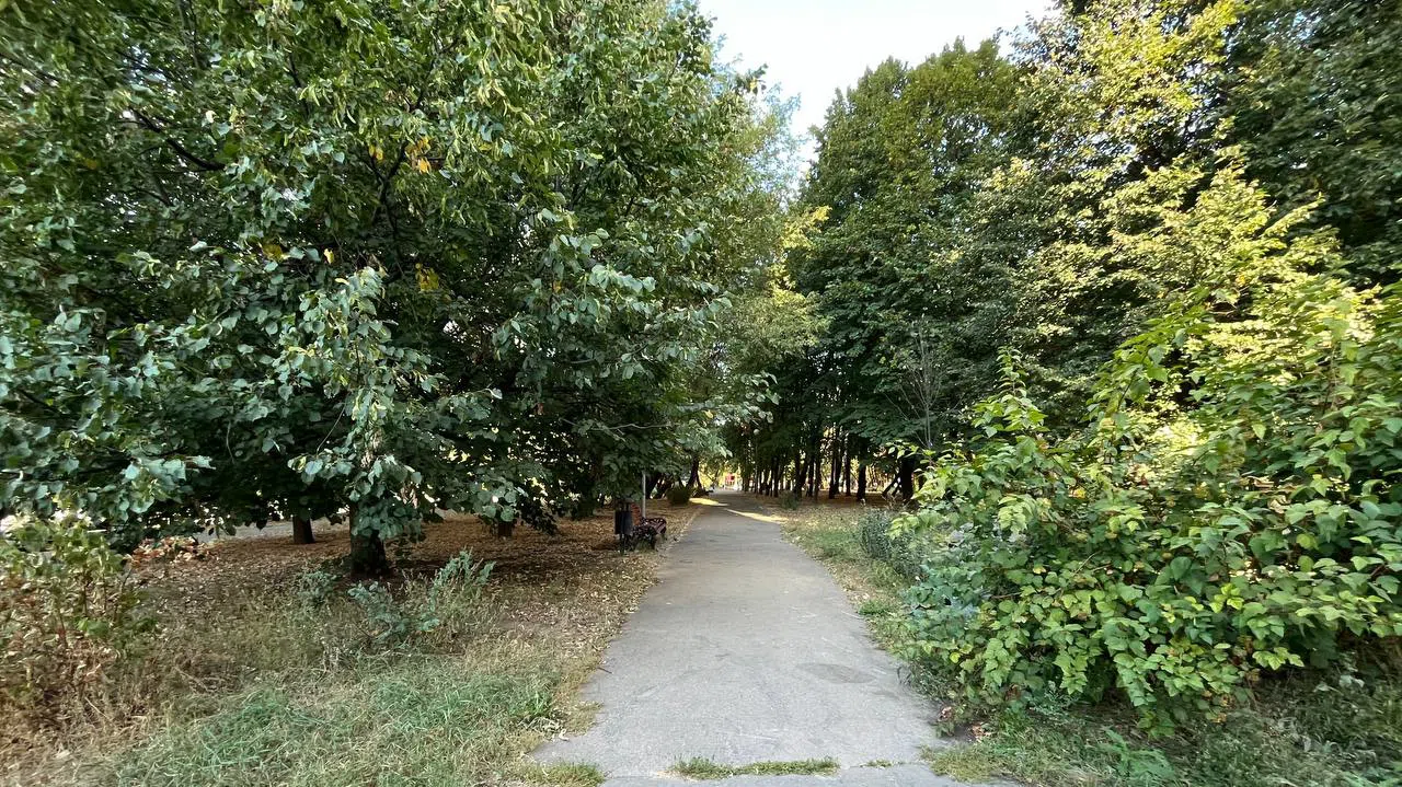 Ряд парковки у парка, фото 5