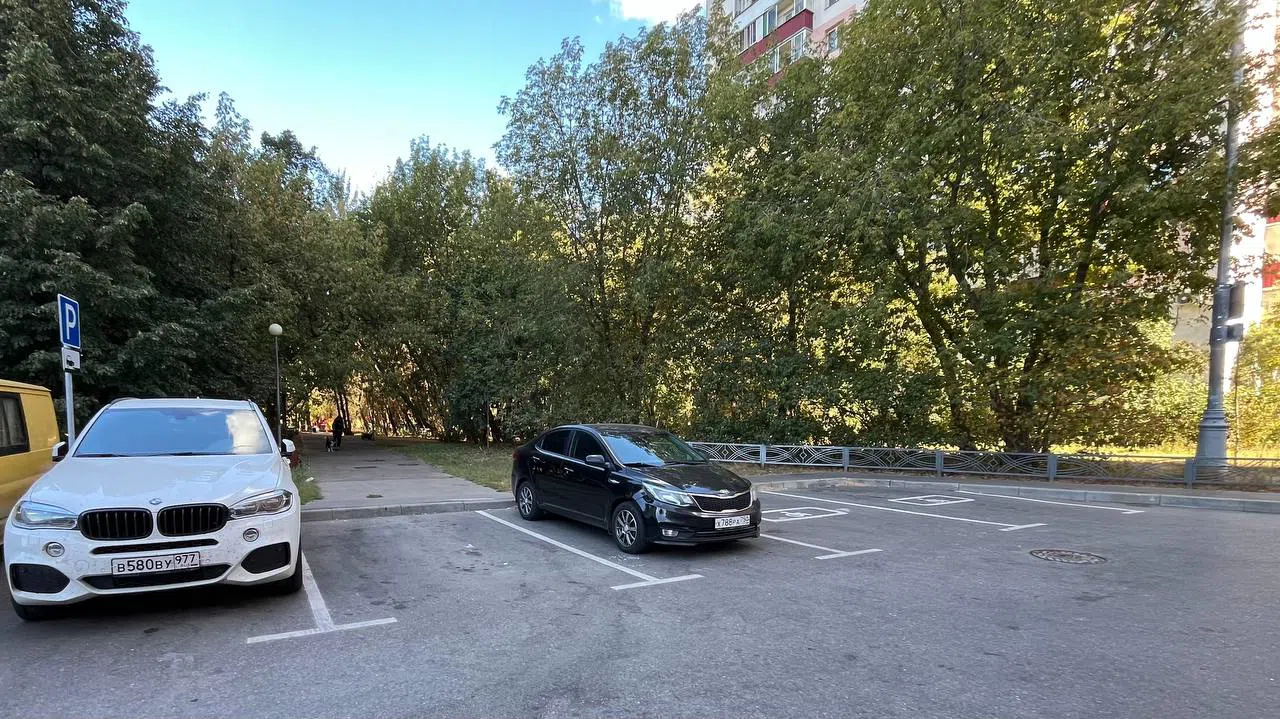Ряд парковки у парка, фото 3