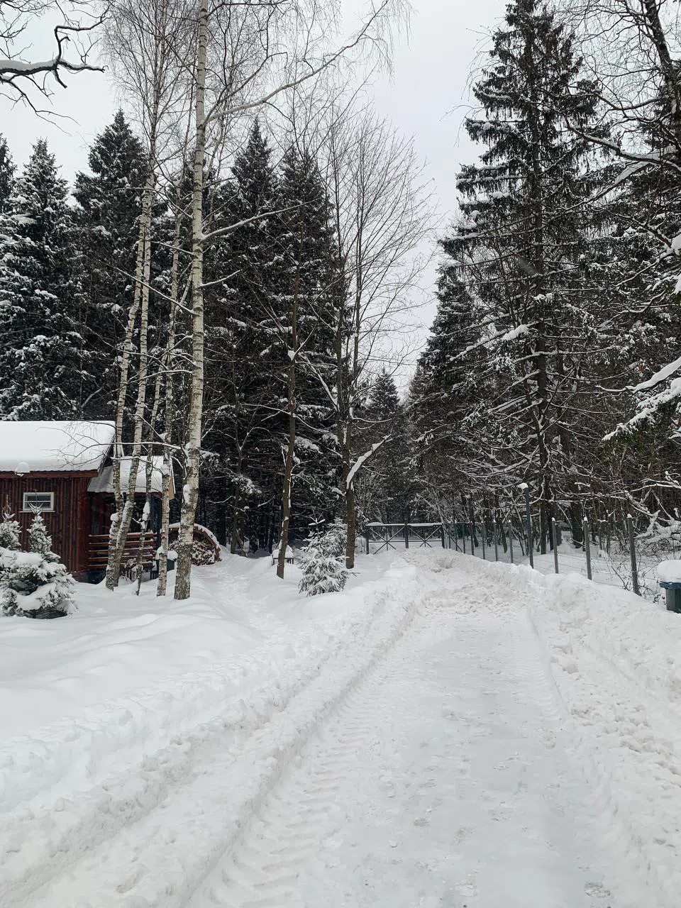 Дача с дровницей-аркой, фото 1