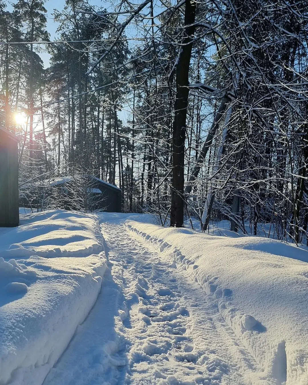 Дача Лофт сосны, фото 12
