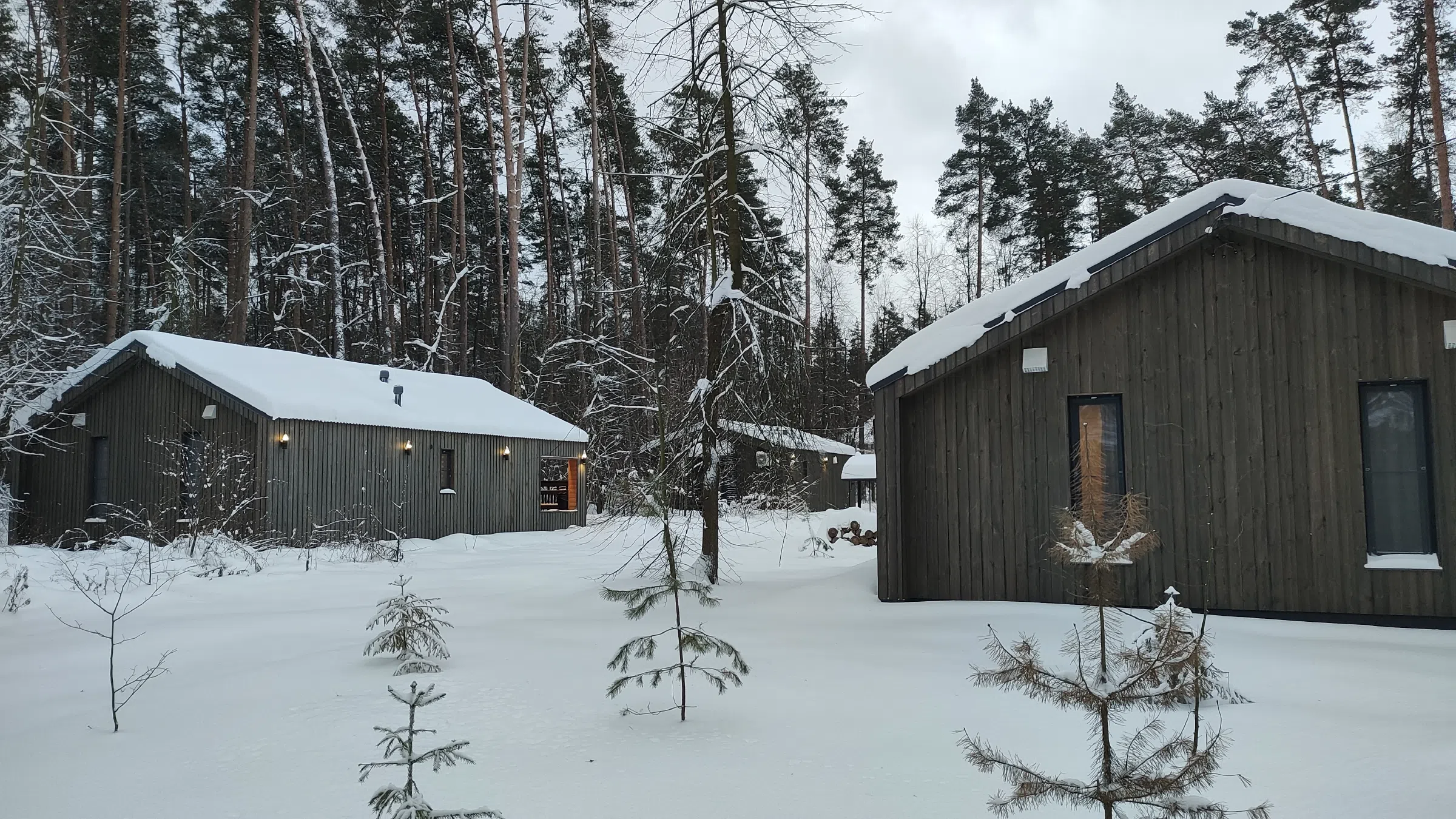 Домики в заснеженном лесу, фото 18