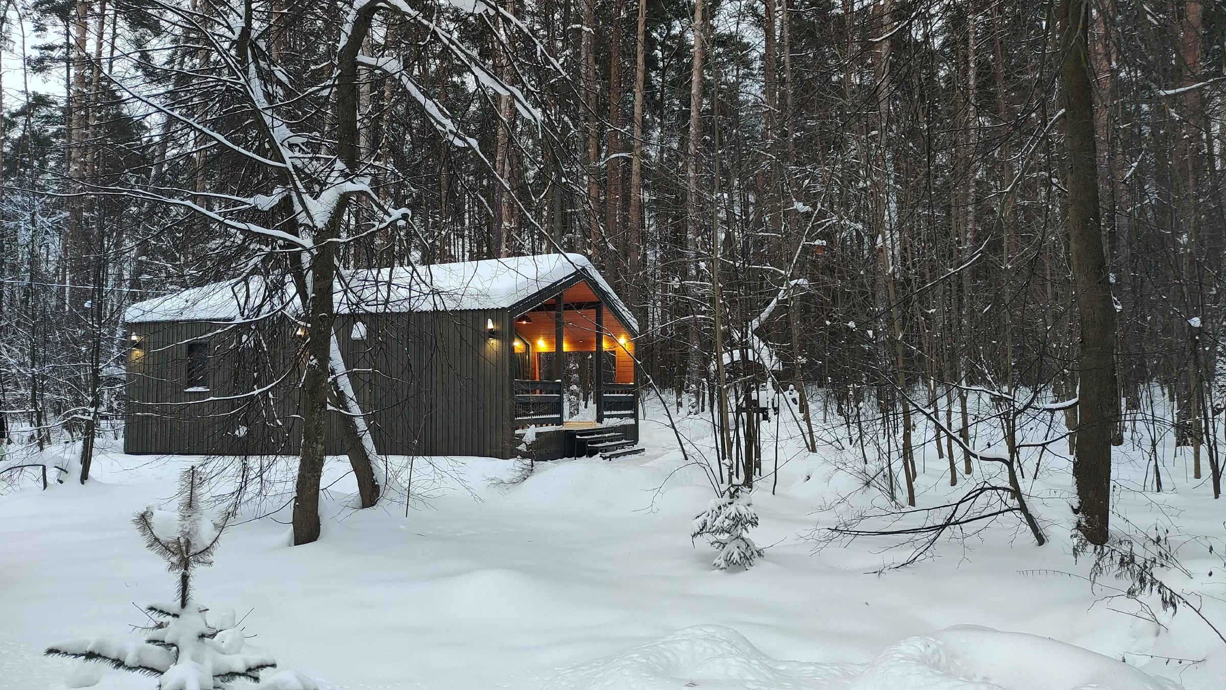 Домики в заснеженном лесу, фото 4