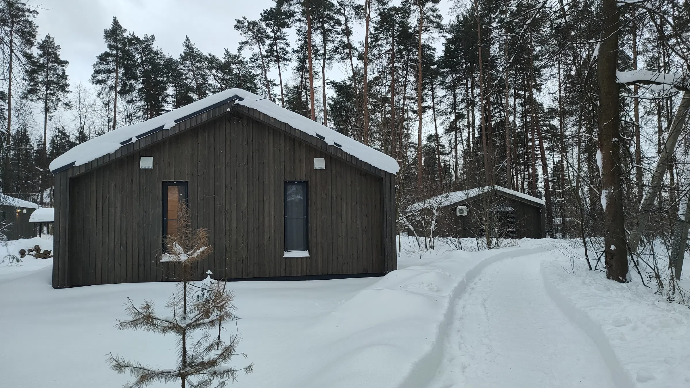 Домики в заснеженном лесу, фото 19