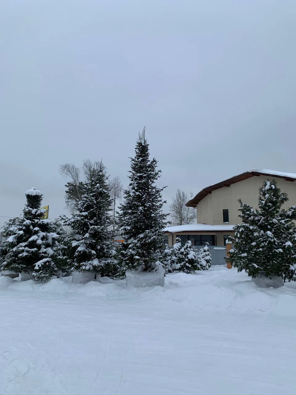 Заснеженный загородный дом, фото 6