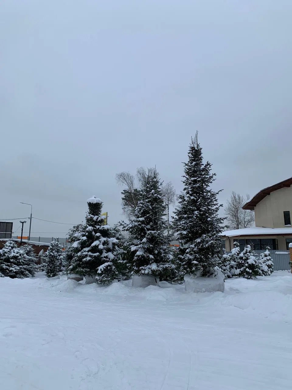 Заснеженный загородный дом, фото 5