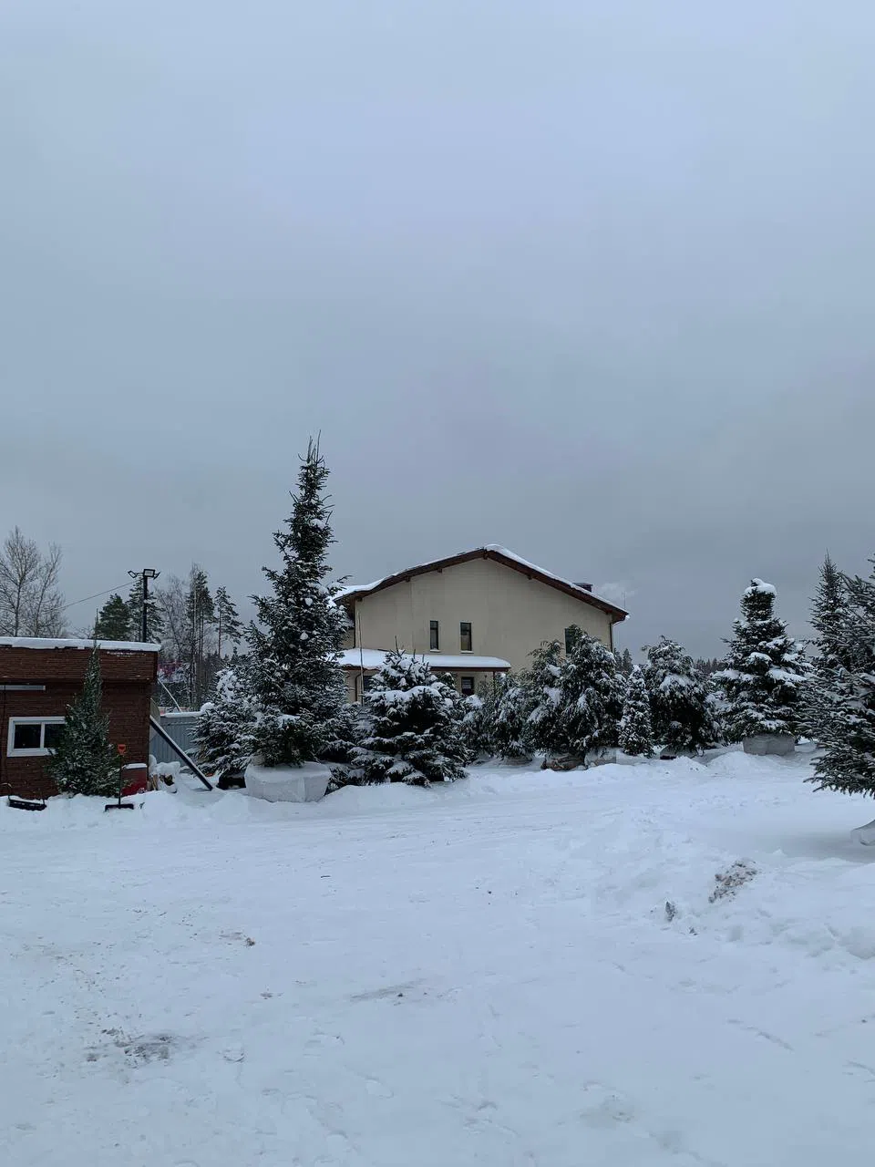 Заснеженный загородный дом, фото 7