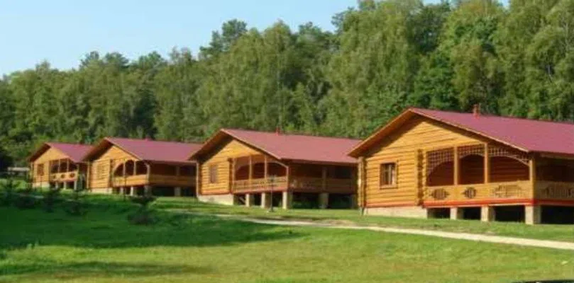 Ряд домов в лесу, фото 9