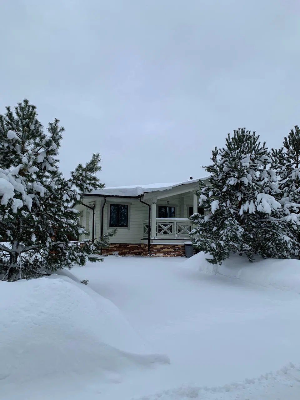 Заснеженный коттедж в лесу, фото 18