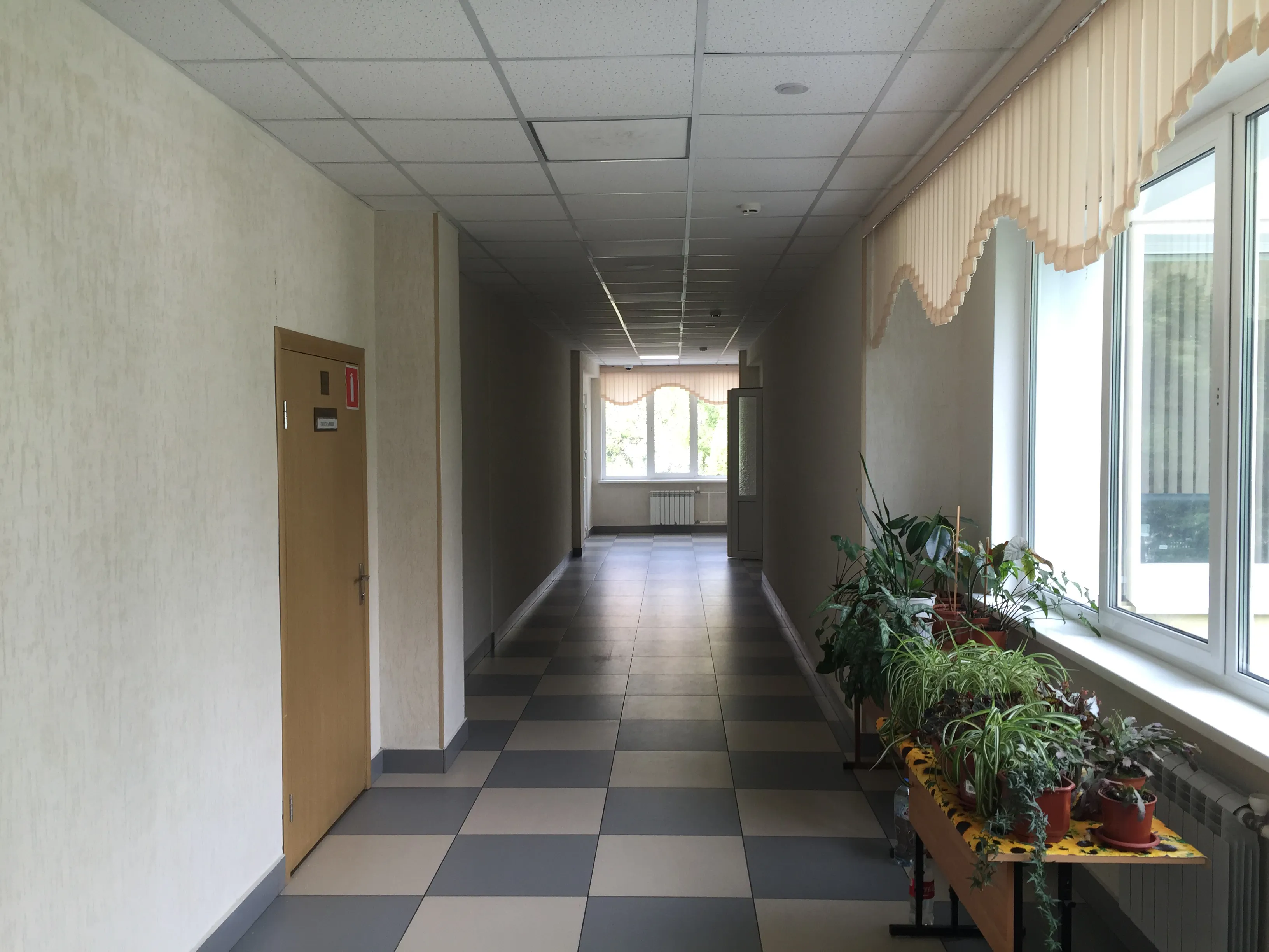 Школа с бирюзовым фасадом, фото 2