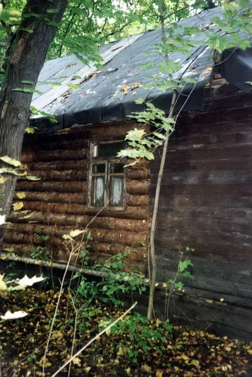 Старинная школа в лесу, фото 7
