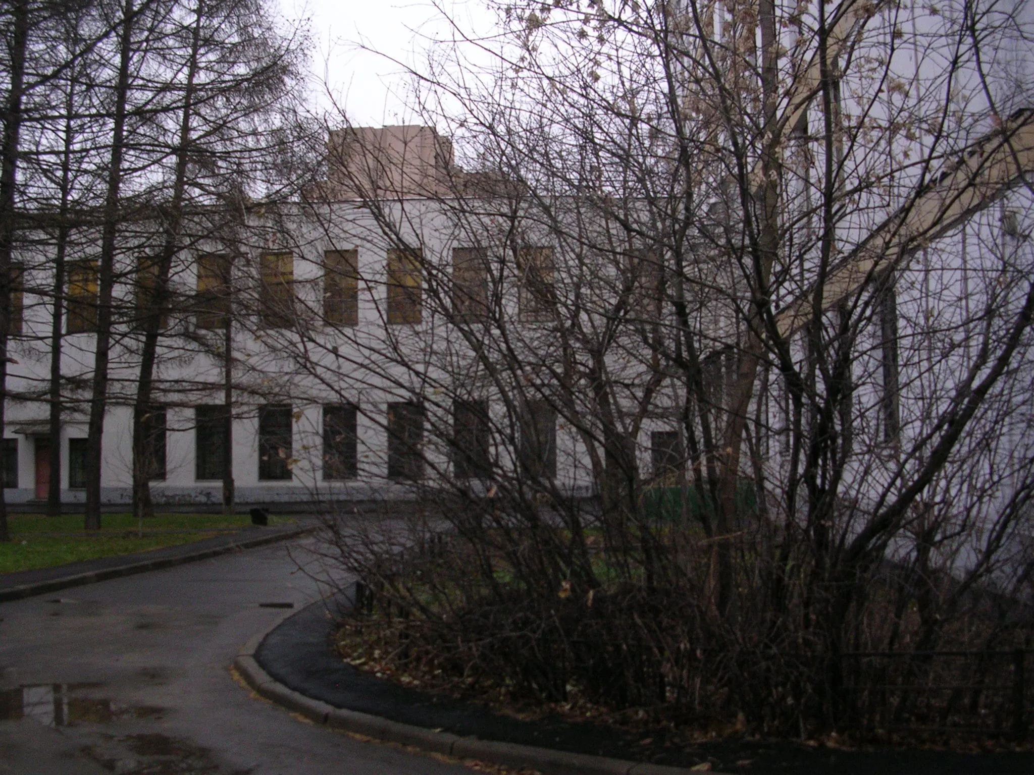 Школа за деревьями, фото 13