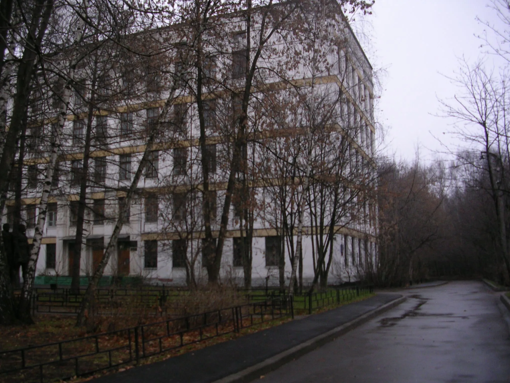 Школа за деревьями, фото 16