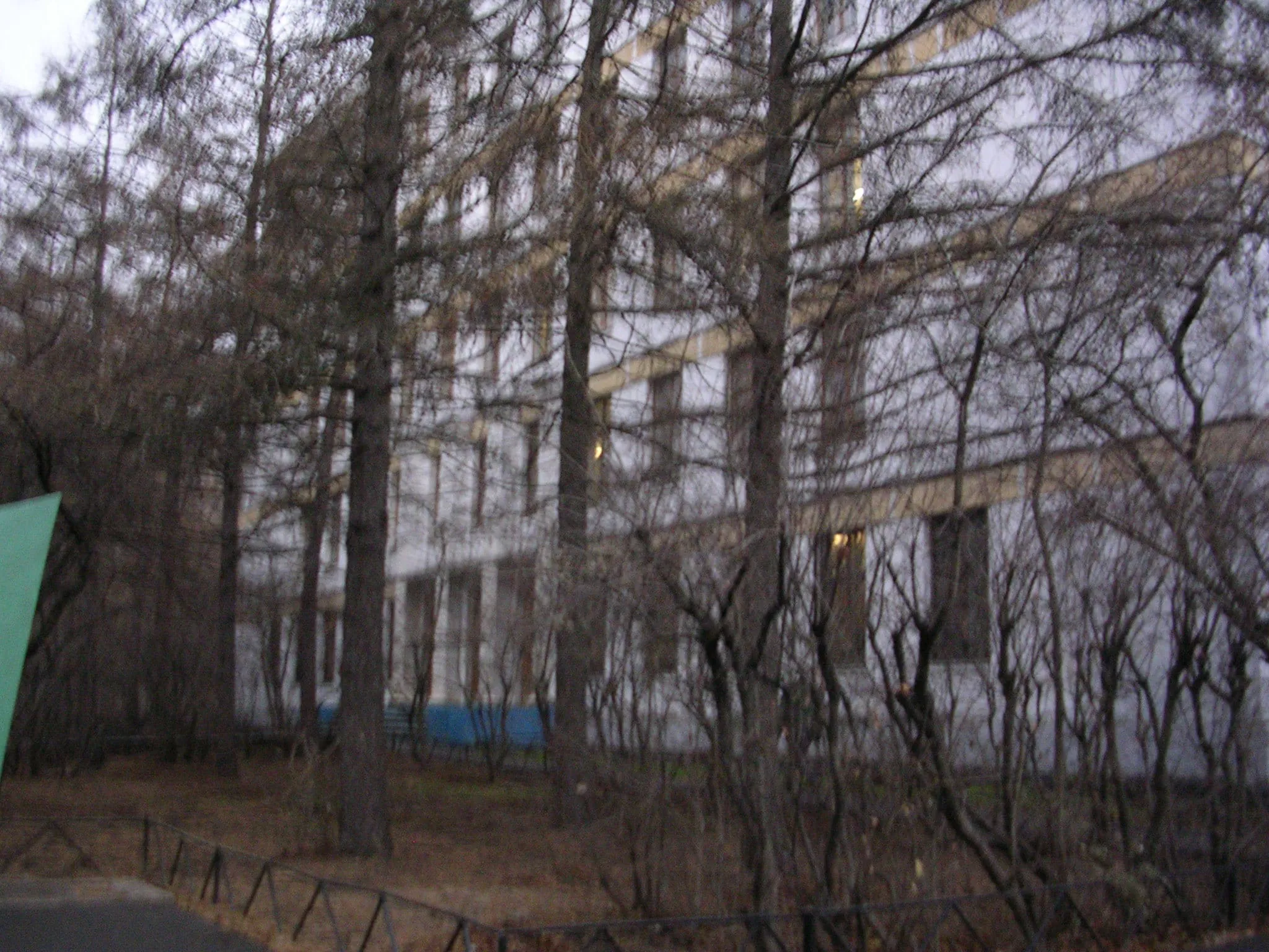 Школа за деревьями, фото 5
