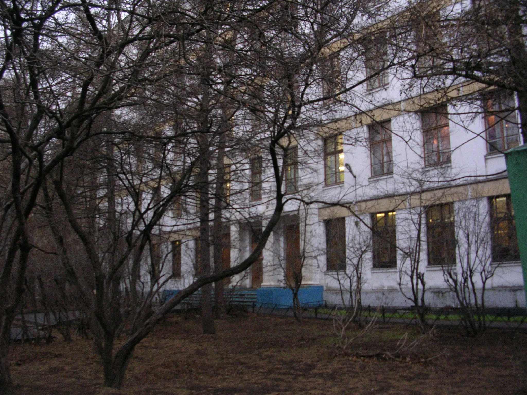 Школа за деревьями, фото 4