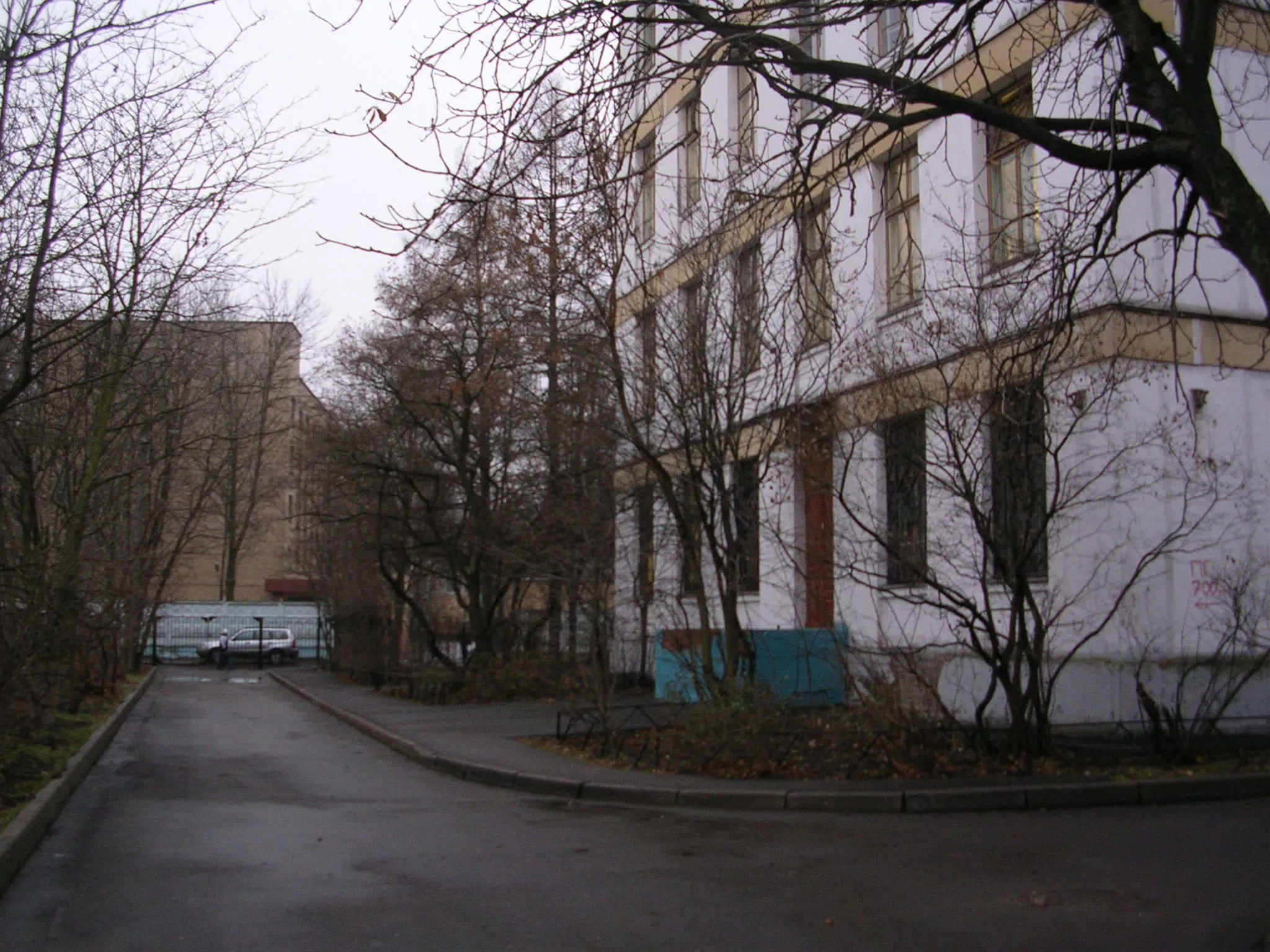 Школа за деревьями, фото 15