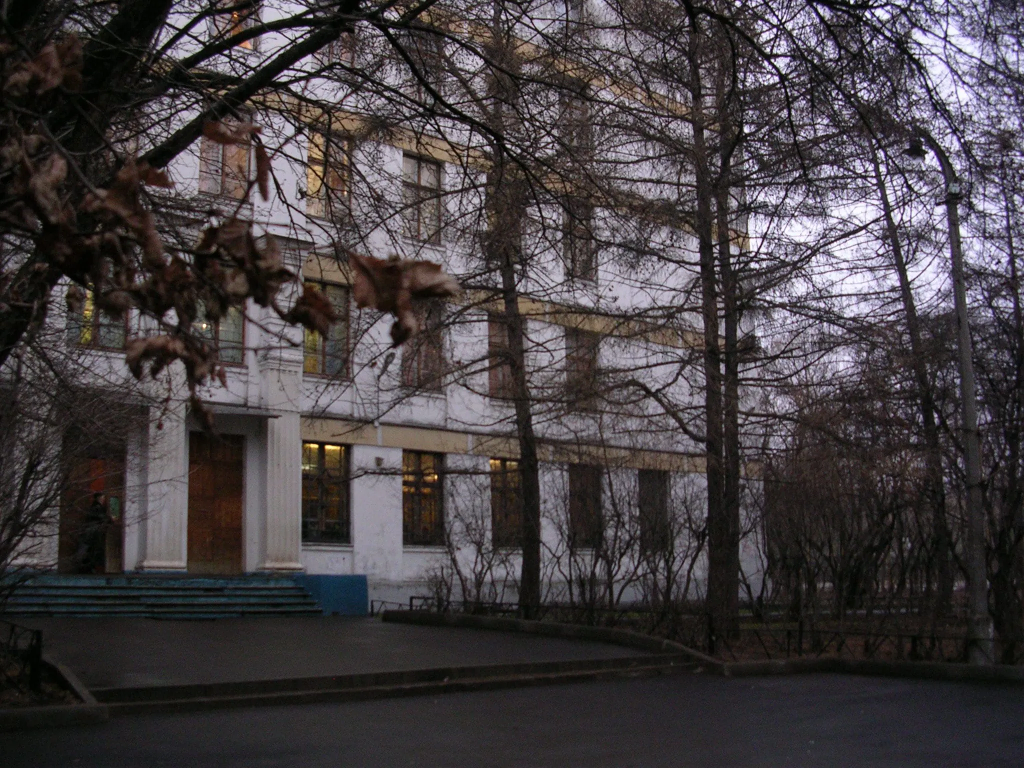 Школа за деревьями, фото 3