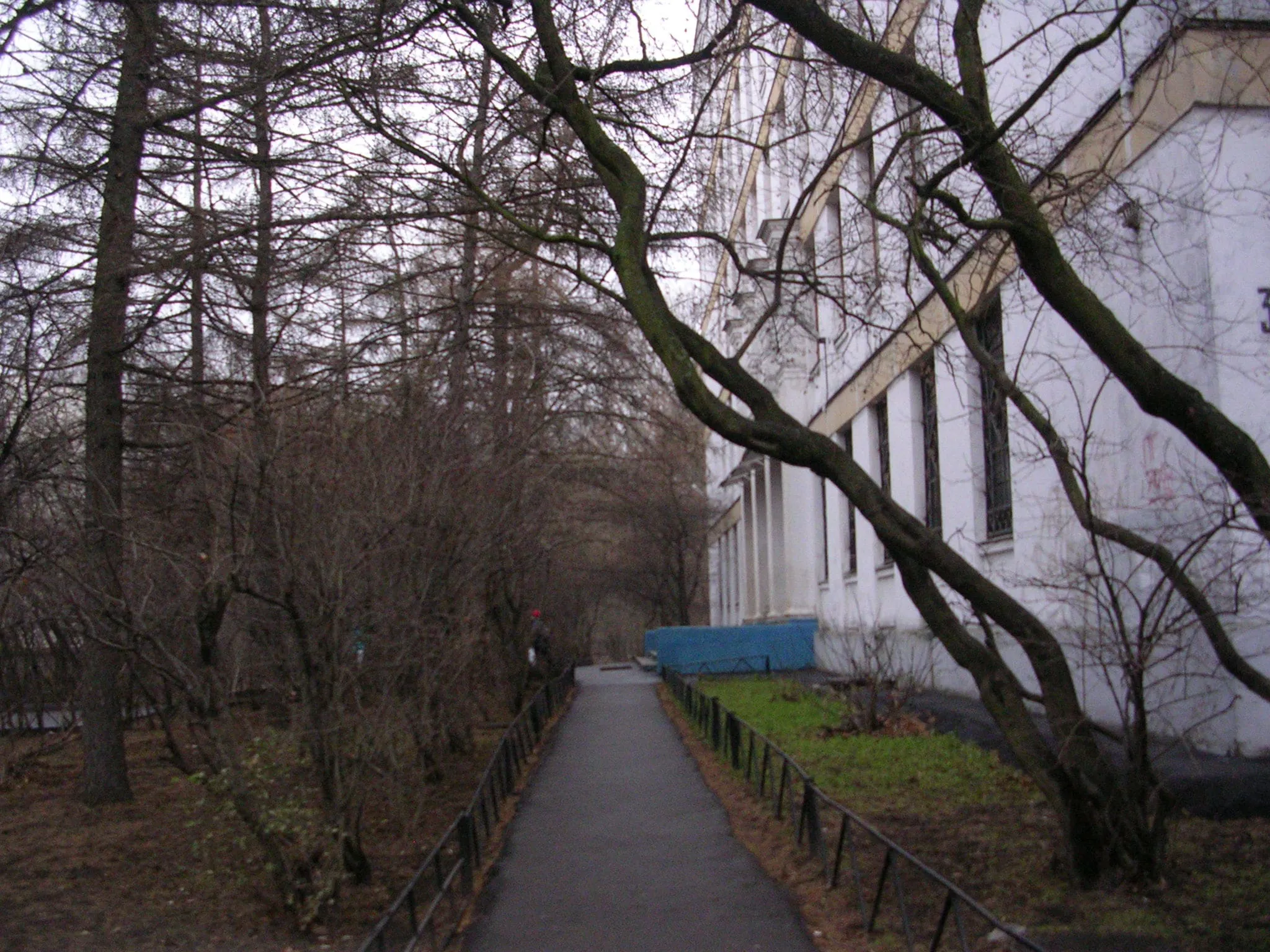 Школа за деревьями, фото 17