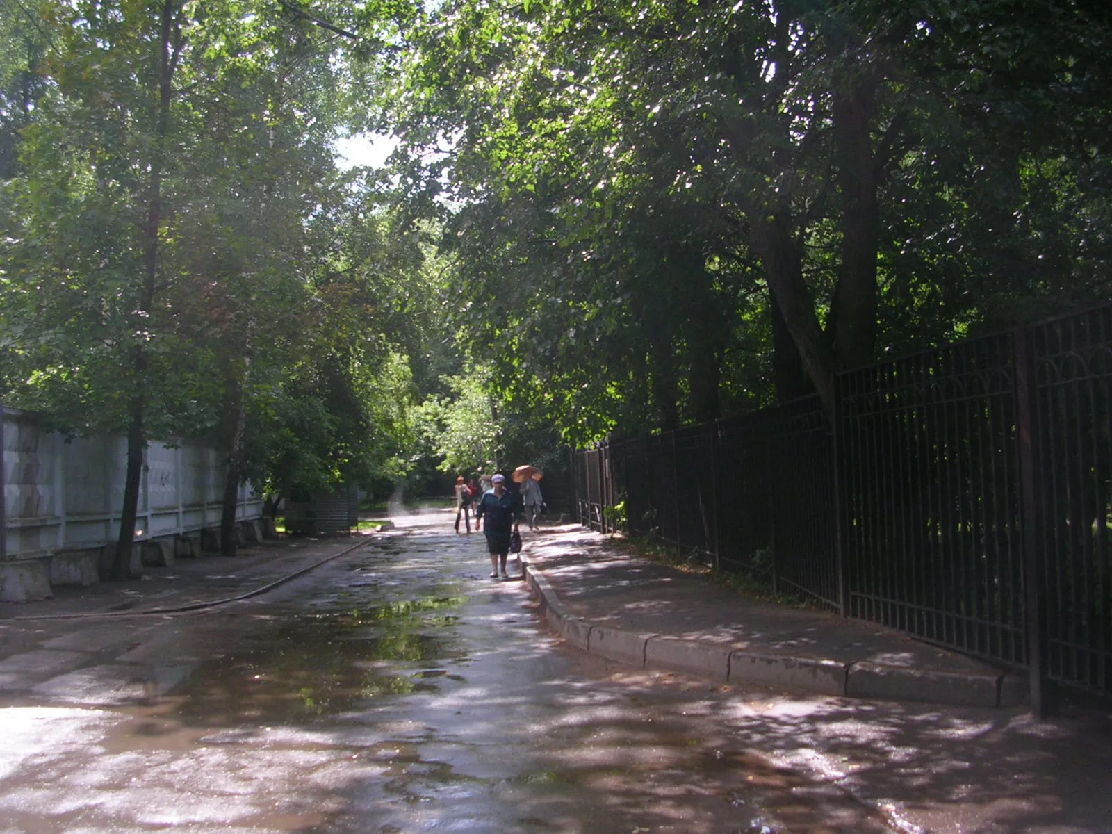 Школа за деревьями, фото 23