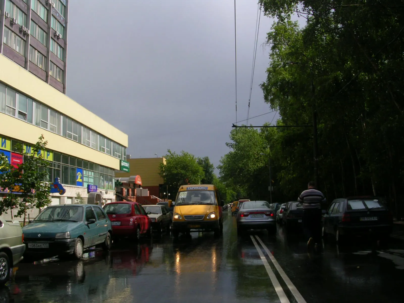 Школа за деревьями, фото 24