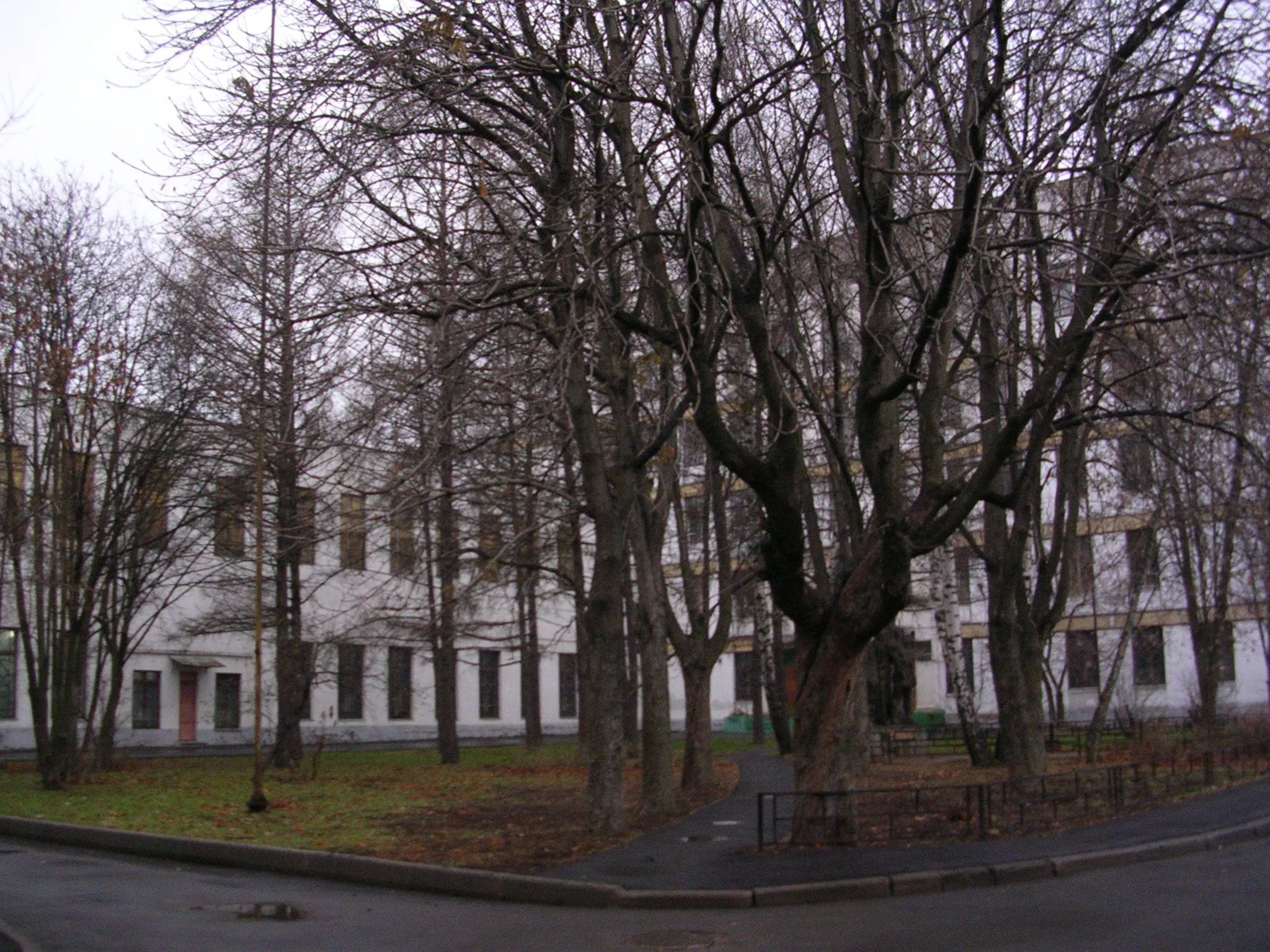 Школа за деревьями, фото 7