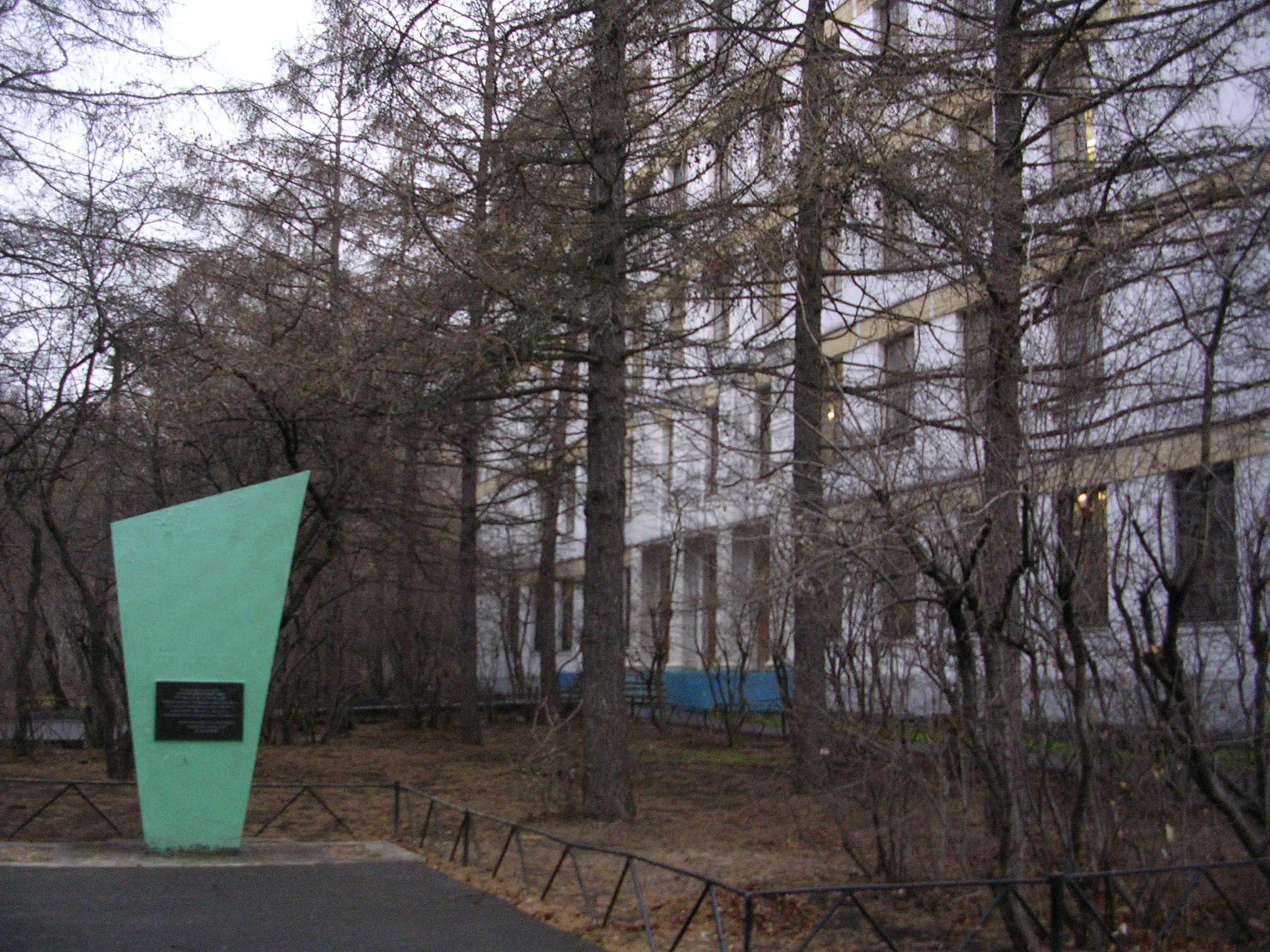 Школа за деревьями, фото 6