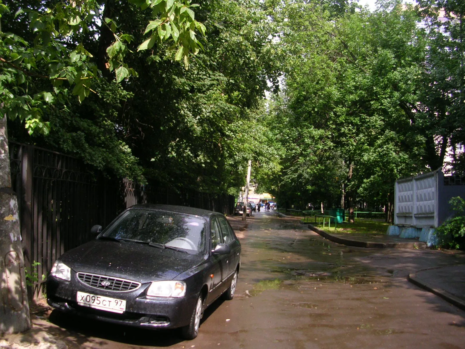 Школа за деревьями, фото 22