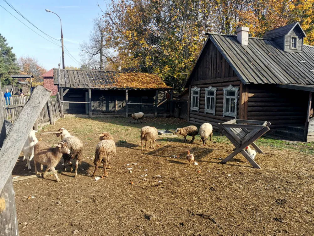 Усадьба в заснеженном парке, фото 21