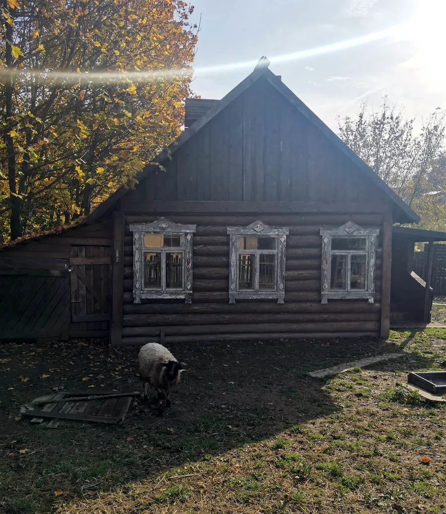 Усадьба в заснеженном парке, фото 20