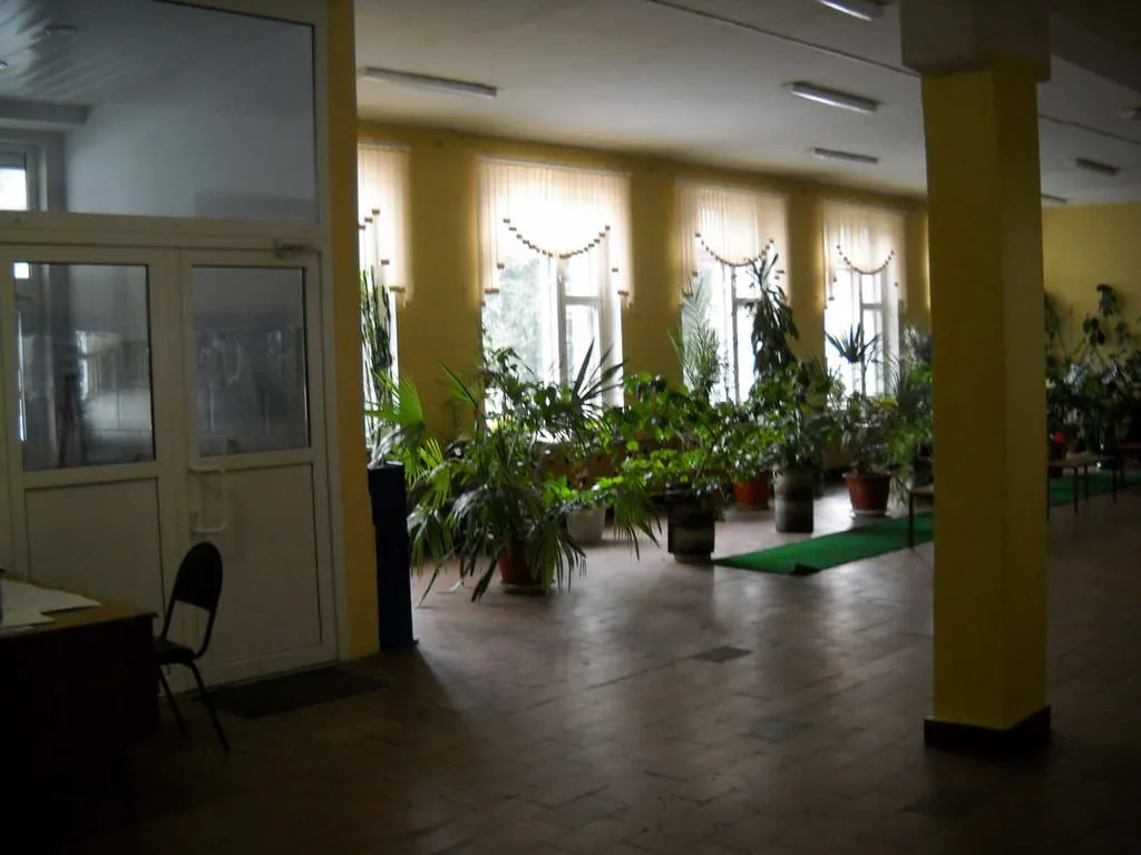 Ретро-школа с растениями, фото 2