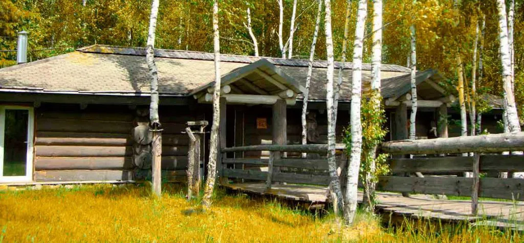 Дача с лошадьми, фото 8