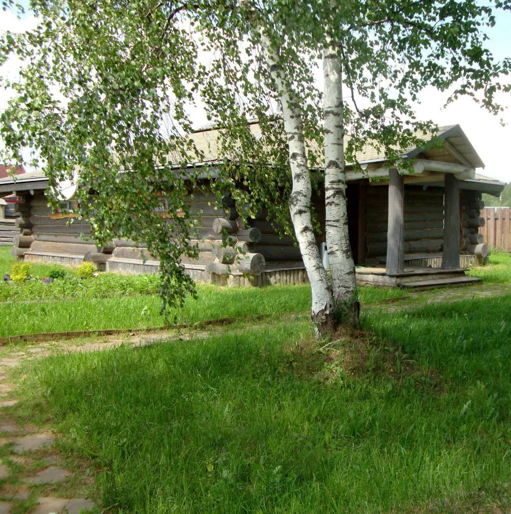 Дача с лошадьми, фото 4