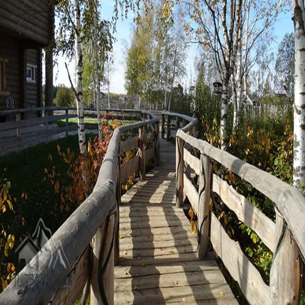Дача с лошадьми, фото 21