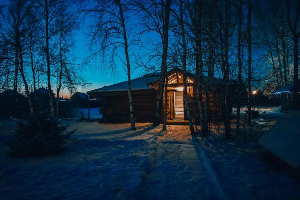 Дача с лошадьми, фото 13