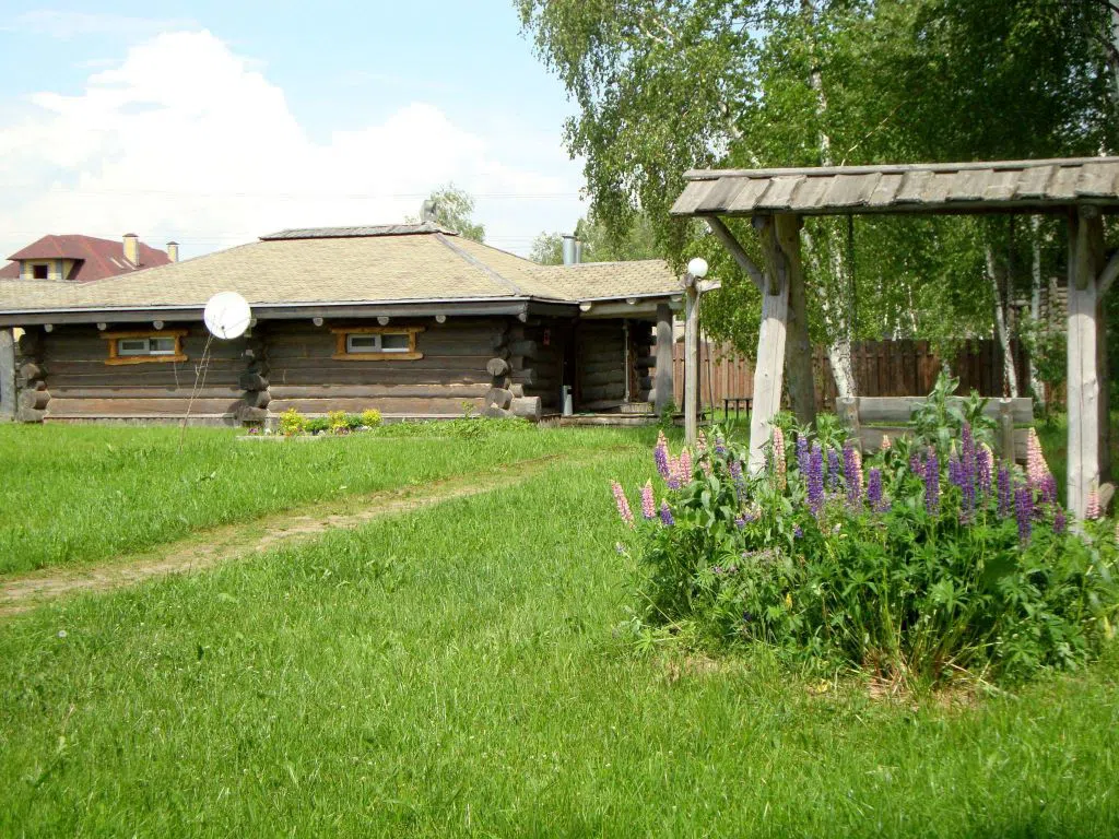 Дача с лошадьми, фото 5
