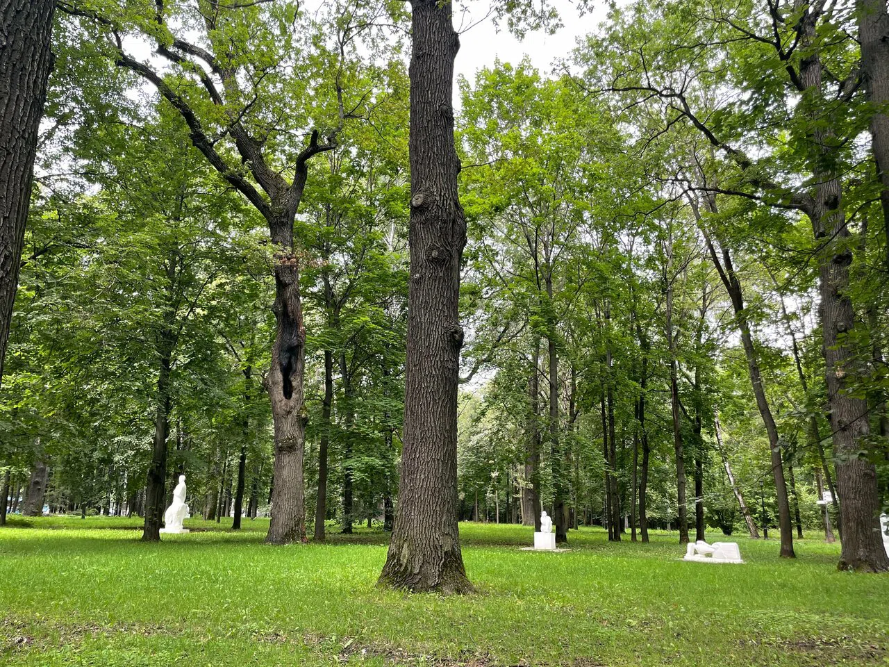 Парк с прудом и башней, фото 5