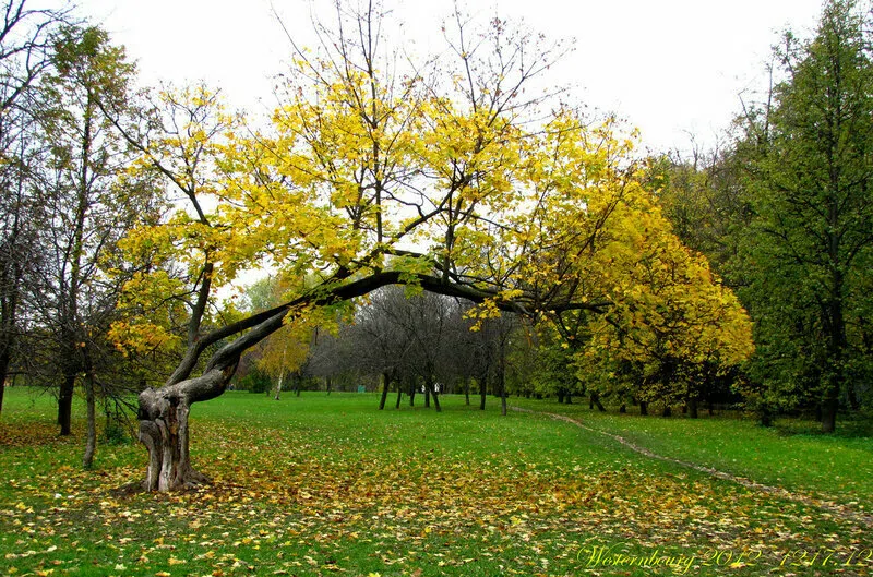 Парк с прудом и башней, фото 6