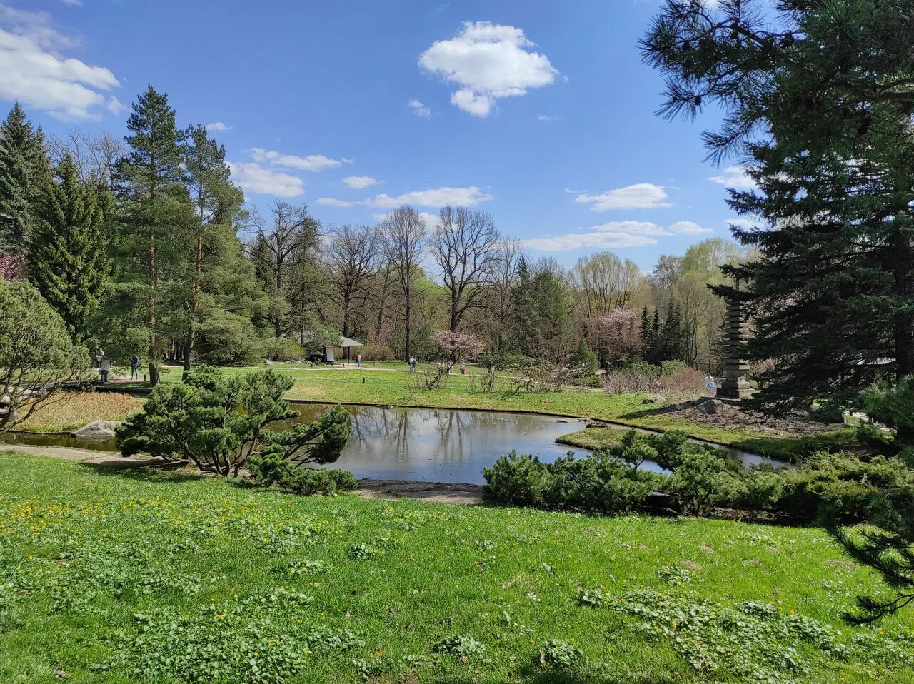 Парк с прудом и башней, фото 3
