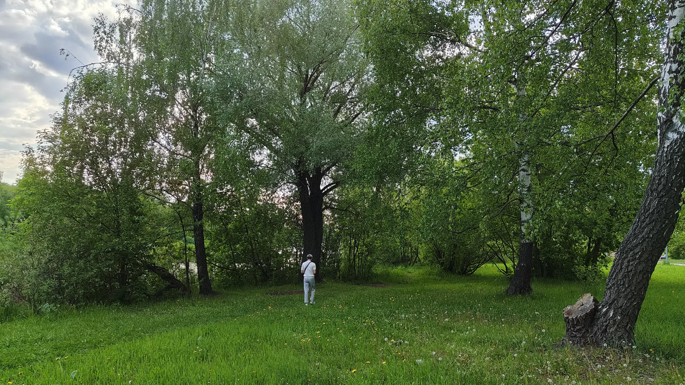 Зеленый берег реки, фото 1