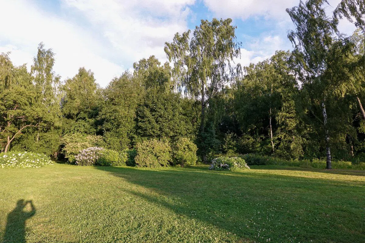 Парк красных листьев, фото 2