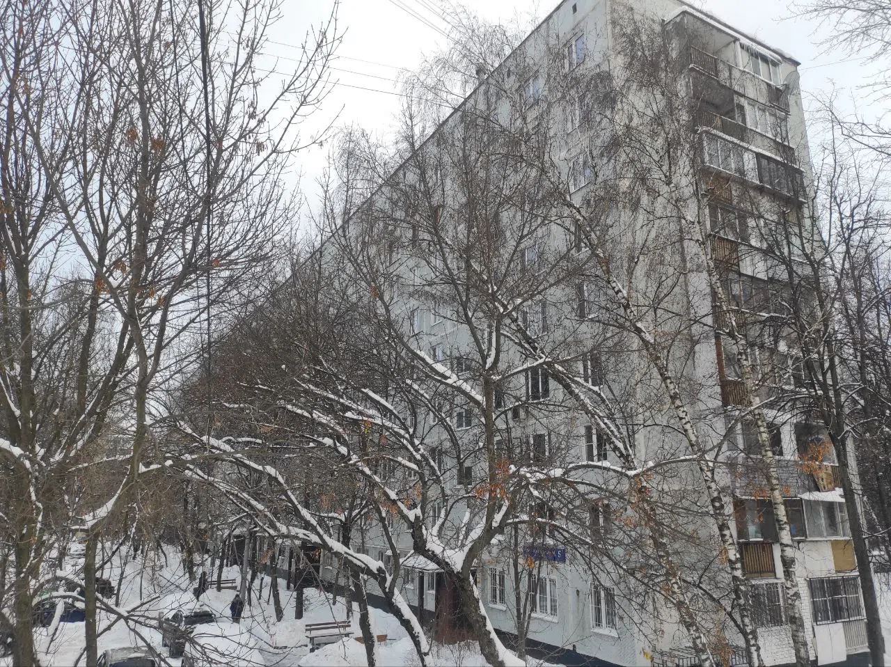 Вид на зимний двор, фото 24