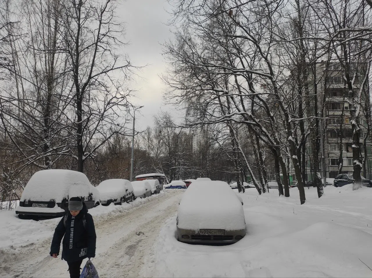 Вид на зимний двор, фото 11