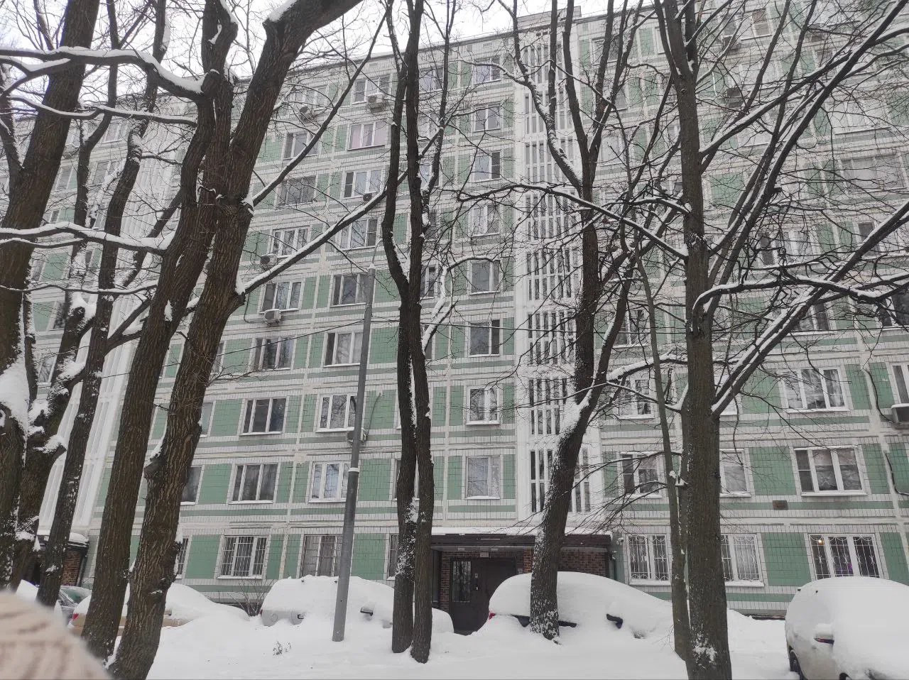 Вид на зимний двор, фото 9