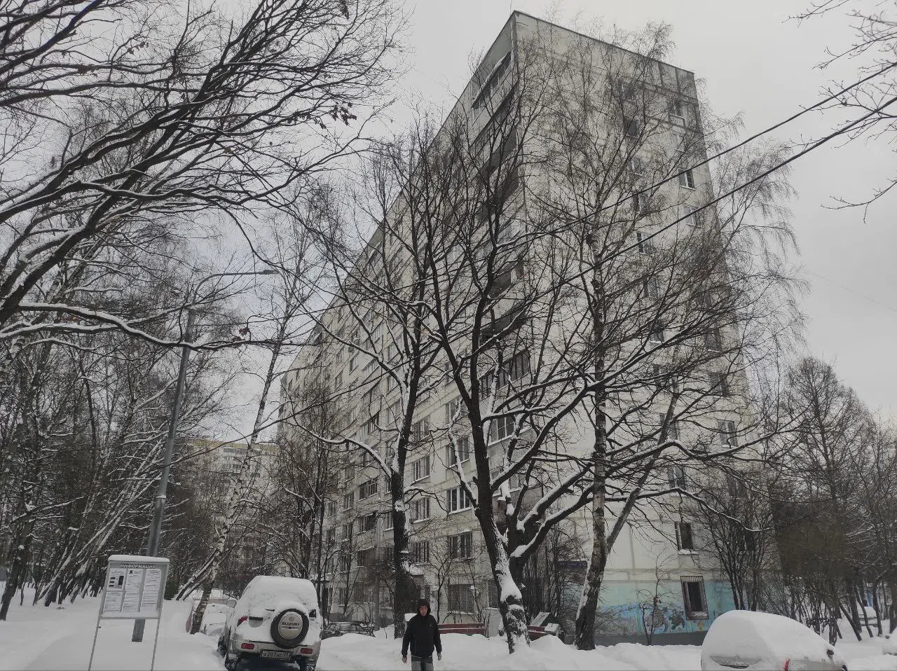 Вид на зимний двор, фото 10