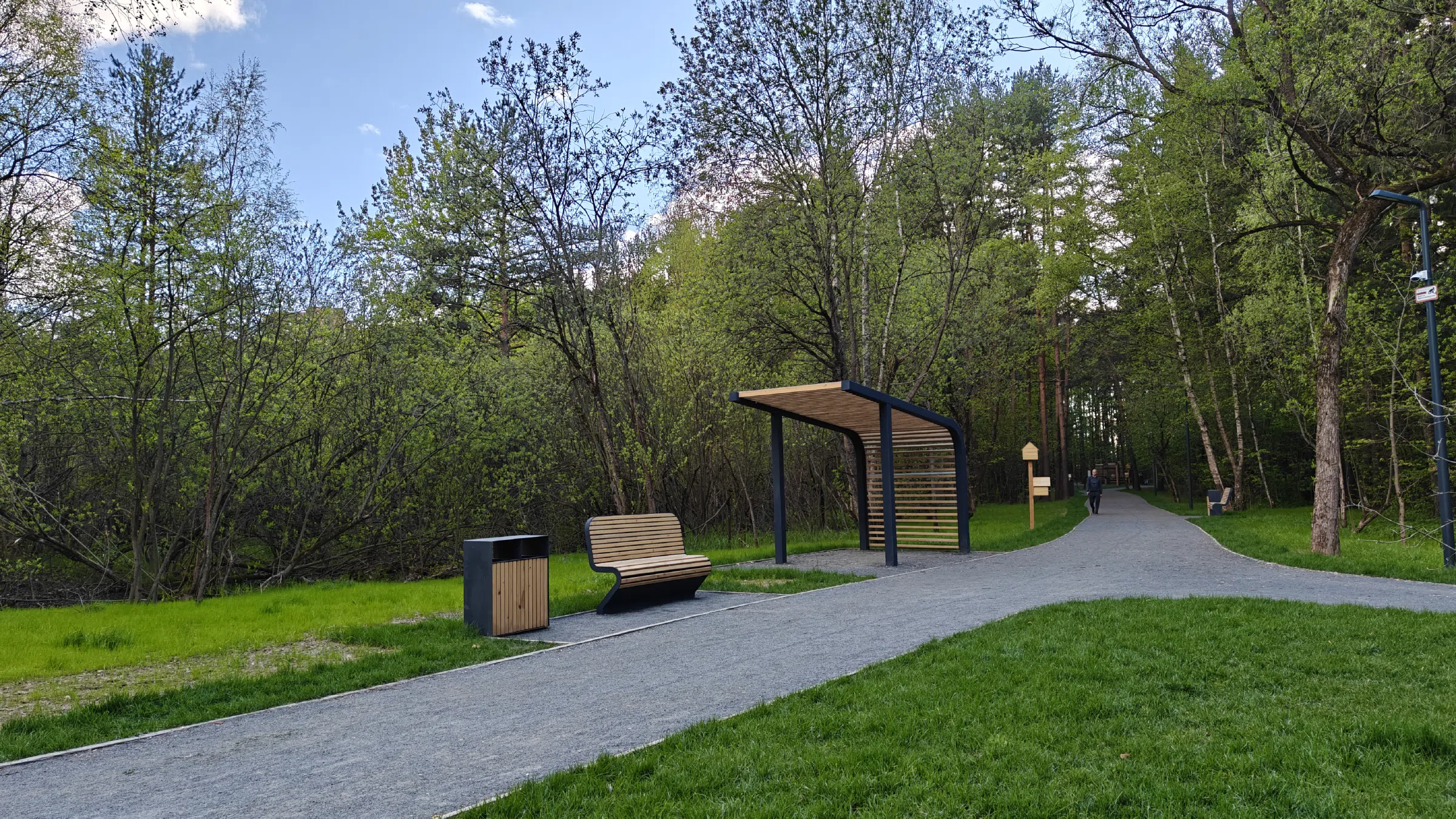 Сосновая тропа в лесу, фото 14