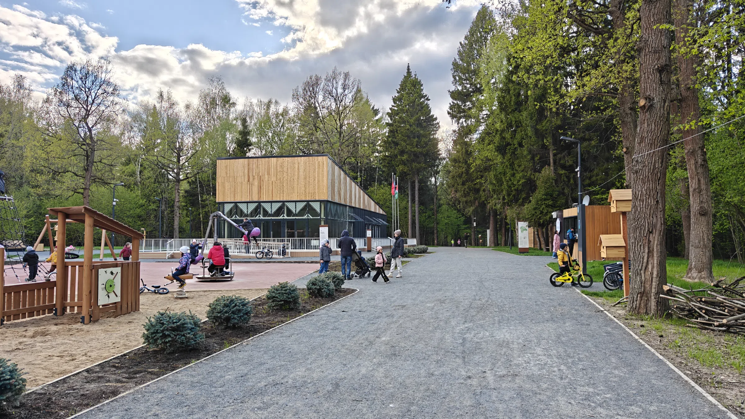 Сосновая тропа в лесу, фото 24
